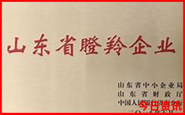 龙虾哪个地方最多